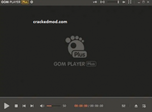 gom player plus license key 2018 in torrent